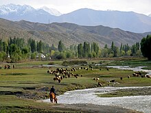 On the south shore of Issyk Kul lake, Issyk Kul Region Bringing the sheep home, on the southern shore of Issy-Kol. (3968109583).jpg