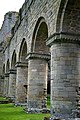 Arches on the north side of the nave, featuring round-sectioned columns with scalloped capitals.