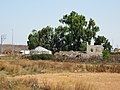 Rovine bizantine presso Kfar Saba.