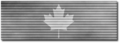 Ribbon for the Silver Maple Leaf Award