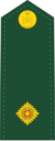 Canadian Army OF-1a.svg