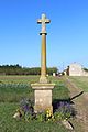 Croix des Combes à Vésines