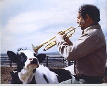 Папа играет на трубе для коровы.jpg