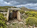 Dolmen du Coll del Tribe