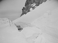 Dyrskar na Haukelifjell, 1955