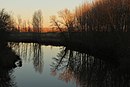 Riberas del río Pisuerga y afluentes