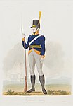 Uniform m/1806 vid Älvsborgs regemente