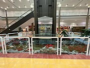 Elm Place, glass elevator surrounded with rocks and plants as decoration.