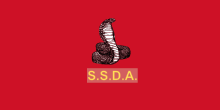 The flag of the Murle dominated Cobra Faction; a splinter of the wider SSDA, led by David Yau Yau and then by Khalid Boutros. Flag of the South Sudan Defence Army - Cobra Faction.svg