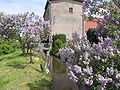 Belziger/Fredersdorfer Bach vor der Fredersdorfer Wassermühle