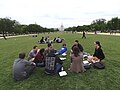 Picnic on the Mall