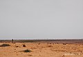 Farmland in eastern Hadejia