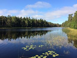 Hallsjön