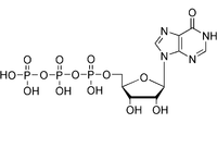 2D Molecular Structure of Inosine Triphosphate