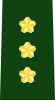 JGSDF Lieutenant General insignia (b).svg