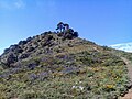 Miniatura para Área natural protegida Cerro La Mota