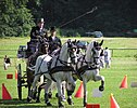 Fahrsport-Turnier im Orlov-Gestüt