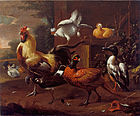 Куриный двор. 1686. Холст, масло. Земельный музей Нижней Саксонии, Ганновер