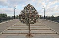 Дерево любви на Лужковом мосту в Москве