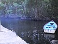 Dock in the channel of Rio Grande de la Costa