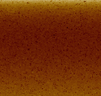 Nanoparticle coating of polystyrene nanoparticles on quartz prepared with the Langmuir-Blodgett method.