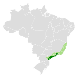 Distribución geográfica del mosquero real atlántico.