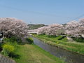 2009年4月9日 (木) 13:40時点における版のサムネイル