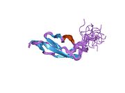 1srz​: Rešenje strukture drugog komplementnog kontrolnog proteinskog (CCP) modula GABA(B)R1a receptora, Pro-119 trans konformer