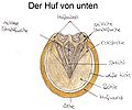 Vorschaubild der Version vom 15:05, 19. Mär. 2006