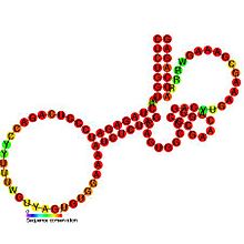 Binding Site Prediction Wiki