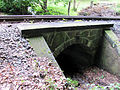 Brücke des Lößnitzdackels über den Rieselgrund