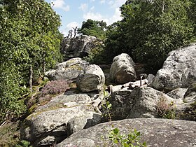 Image illustrative de l’article Massif forestier des Rochers-Gréau