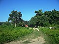 Hacienda de San Francisco Dzon.