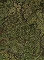 Miniaturbild fir d'Versioun vum 19:44, 9. Jun. 2011