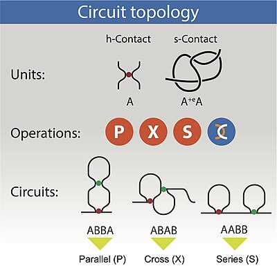 Vztahy topologie obvodu v řetězci se dvěma binárními kontakty.
