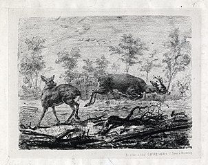 Deux chevreuils (vers 1860), lithographie, cabinet des estampes et des dessins de Strasbourg.