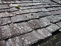 Ardesia usata per ricoprire i tetti