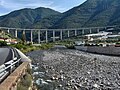 پل ماشین‌رو روی رودخانه آرژانتین