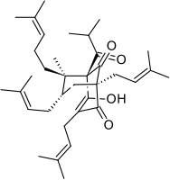 Tetrahydrohiperforyna