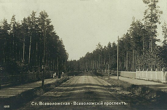 Всеволожский проспект. 1914 год