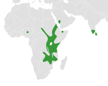 Map showing distribution of Wajira in Africa, the Arabian Peninsula and southern India
