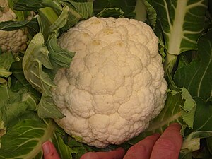 Cauliflower photographed in Woolworths store i...