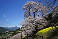 2017年3月28日 (火) 21:57時点における版のサムネイル