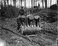 Rolling shell along rails, Englebelmer Wood, Battle of the Somme, September 1916