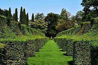 Jardins du manoir d'Eyrignac.