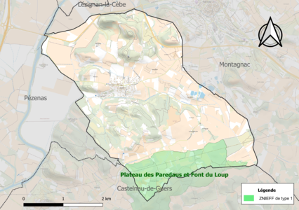 Carte de la ZNIEFF de type 1 sur la commune.