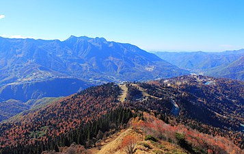 Pogled na park v jeseni