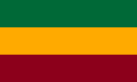 Cantone di El Guarco – Bandiera