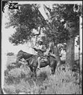 Vignette pour Expédition de la rivière Yellowstone