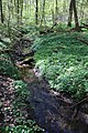 De Mark in het Bos van Edingen